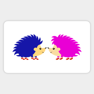 Sonic & Amy Magnet